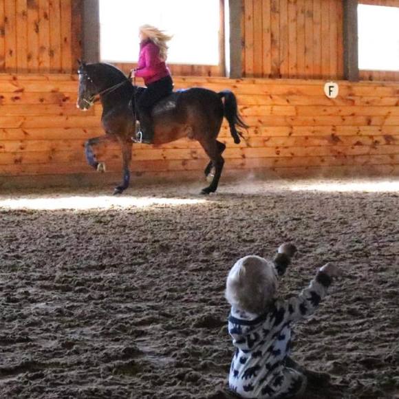 Meet your Posher, Elizabeth - Picture 1 of 1